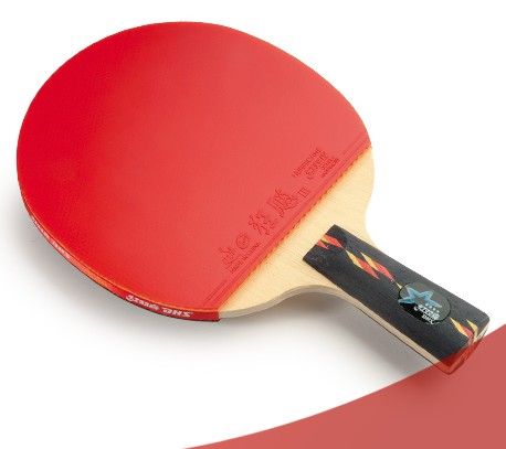 DHS Ping Pong Paddle 2 Balls Set 4 Star Professional  